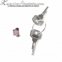 Mouse lock and keys for chastity cage