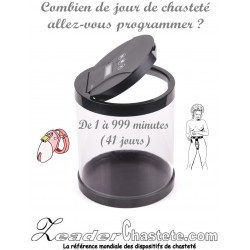Chastity and BDSM electronic safe